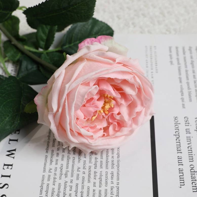 17" Real Touch English Austin Cabbage Rose: White
