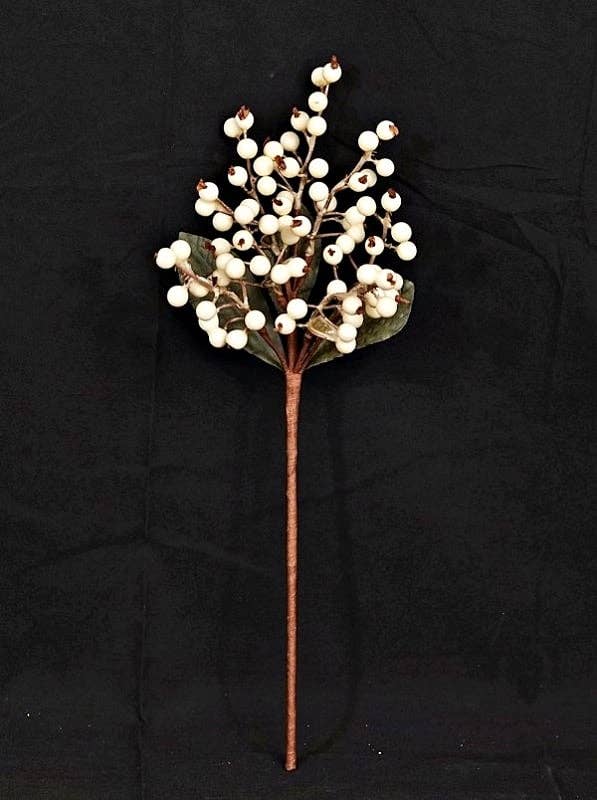 15" PYCANTHUS BERRY CREAM