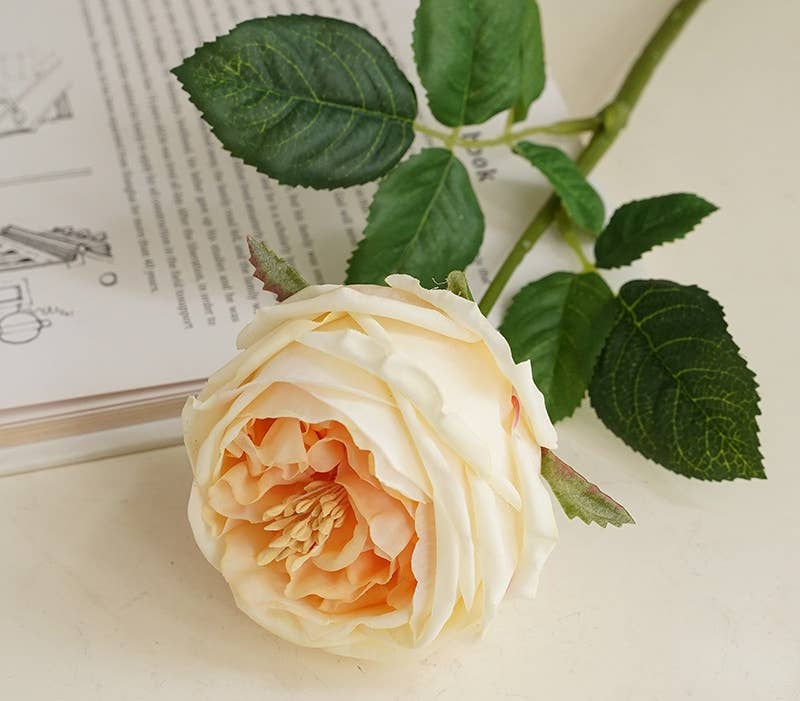 17" Real Touch English Austin Cabbage Rose: White