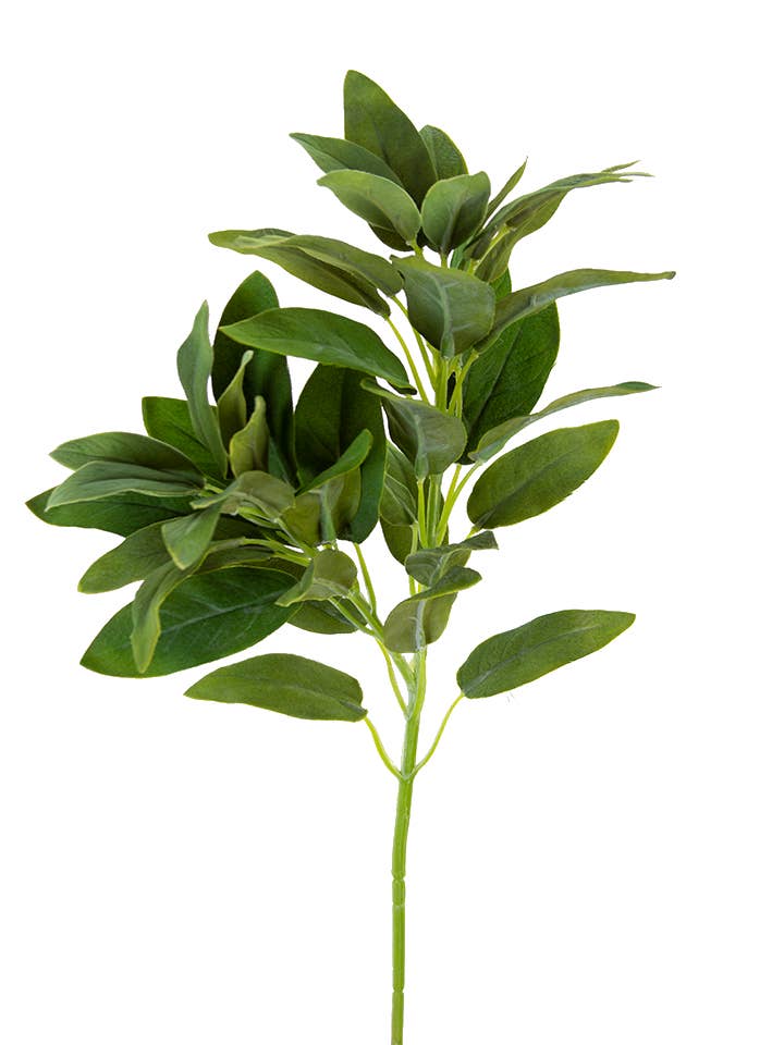 21" SALVIA SPRAY