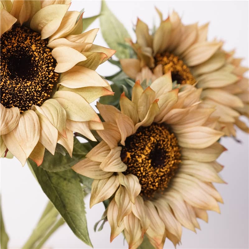 27.5" Lux Touch Sunflower