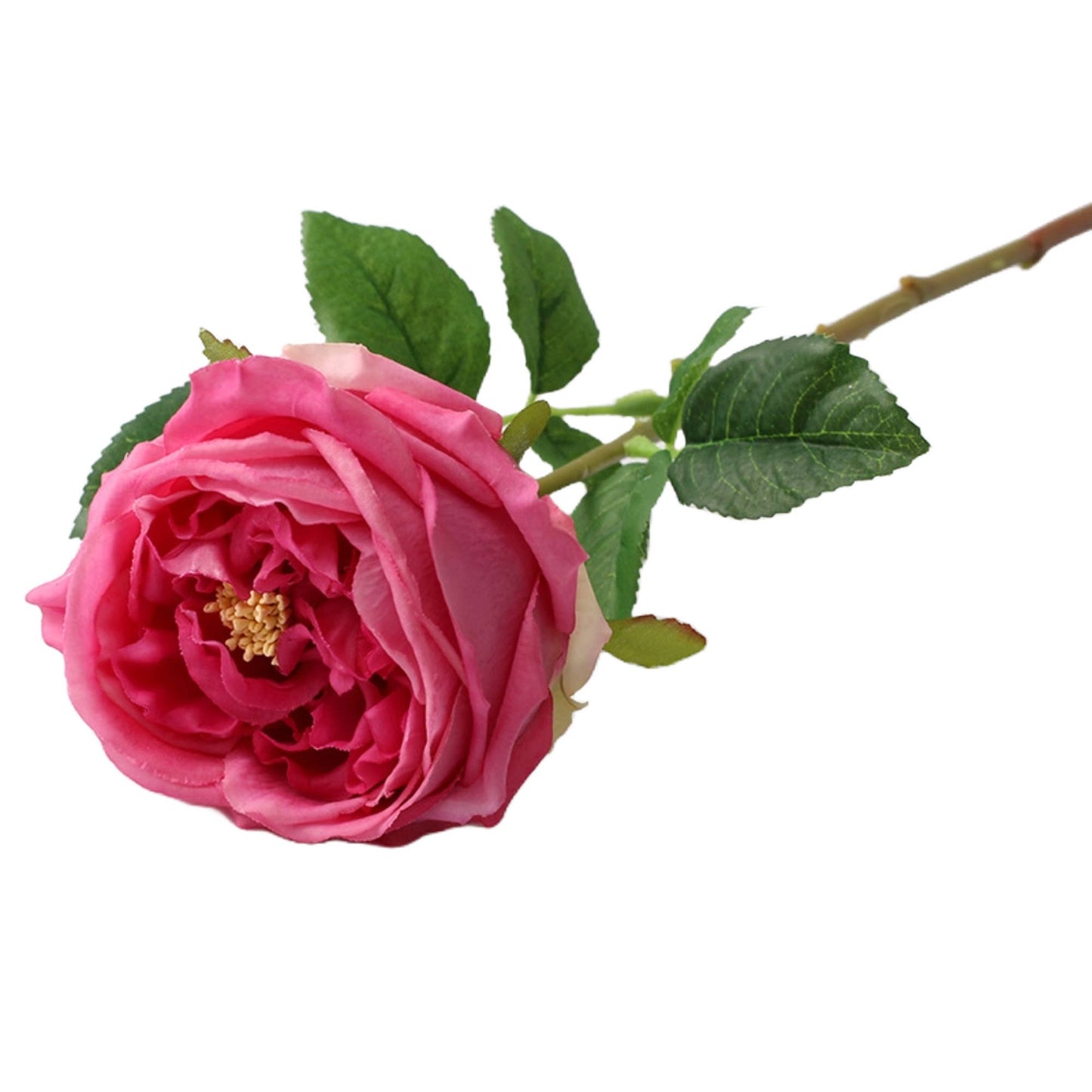 17" Real Touch English Austin Cabbage Rose: White