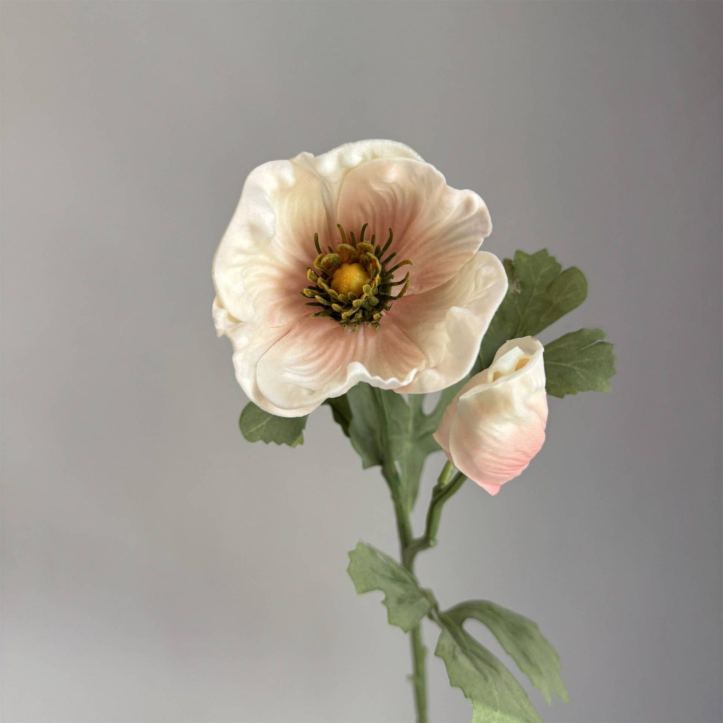 20'' Soft Touch Anemone