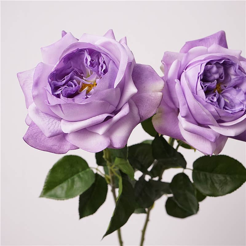 27" Lux Real Touch Juliet Rose