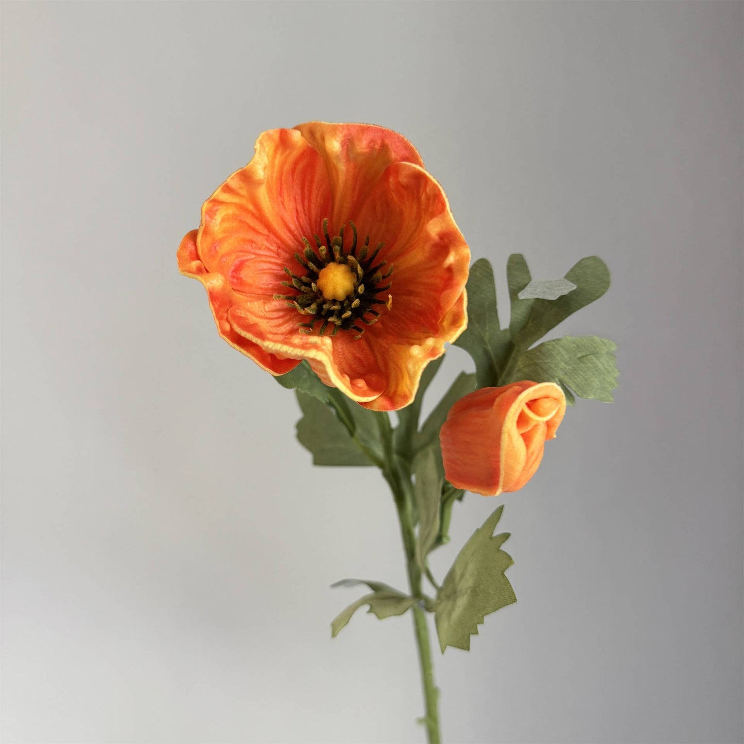 20'' Soft Touch Anemone