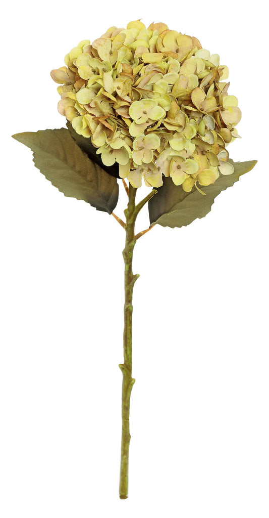 19" Harvest Hydrangea - Caramel