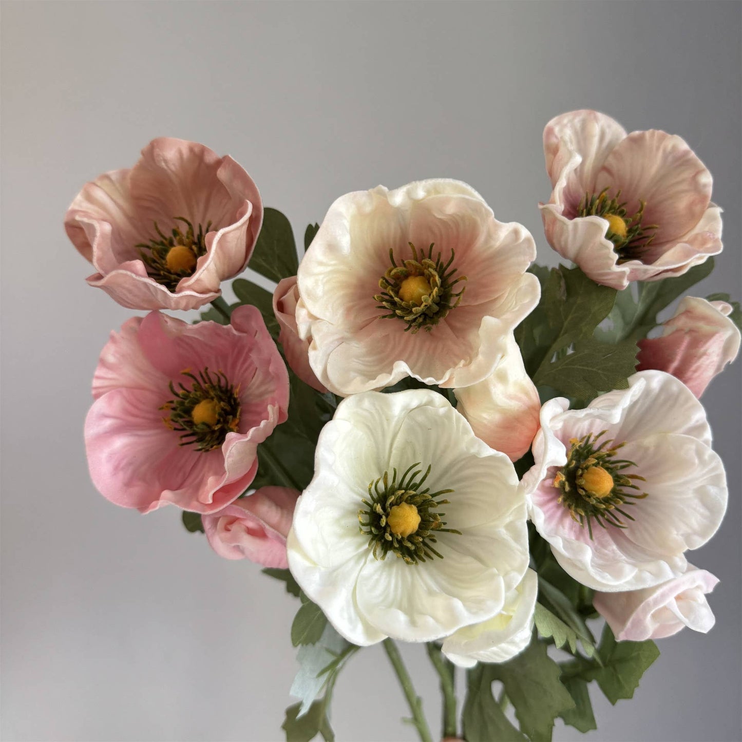 20'' Soft Touch Anemone