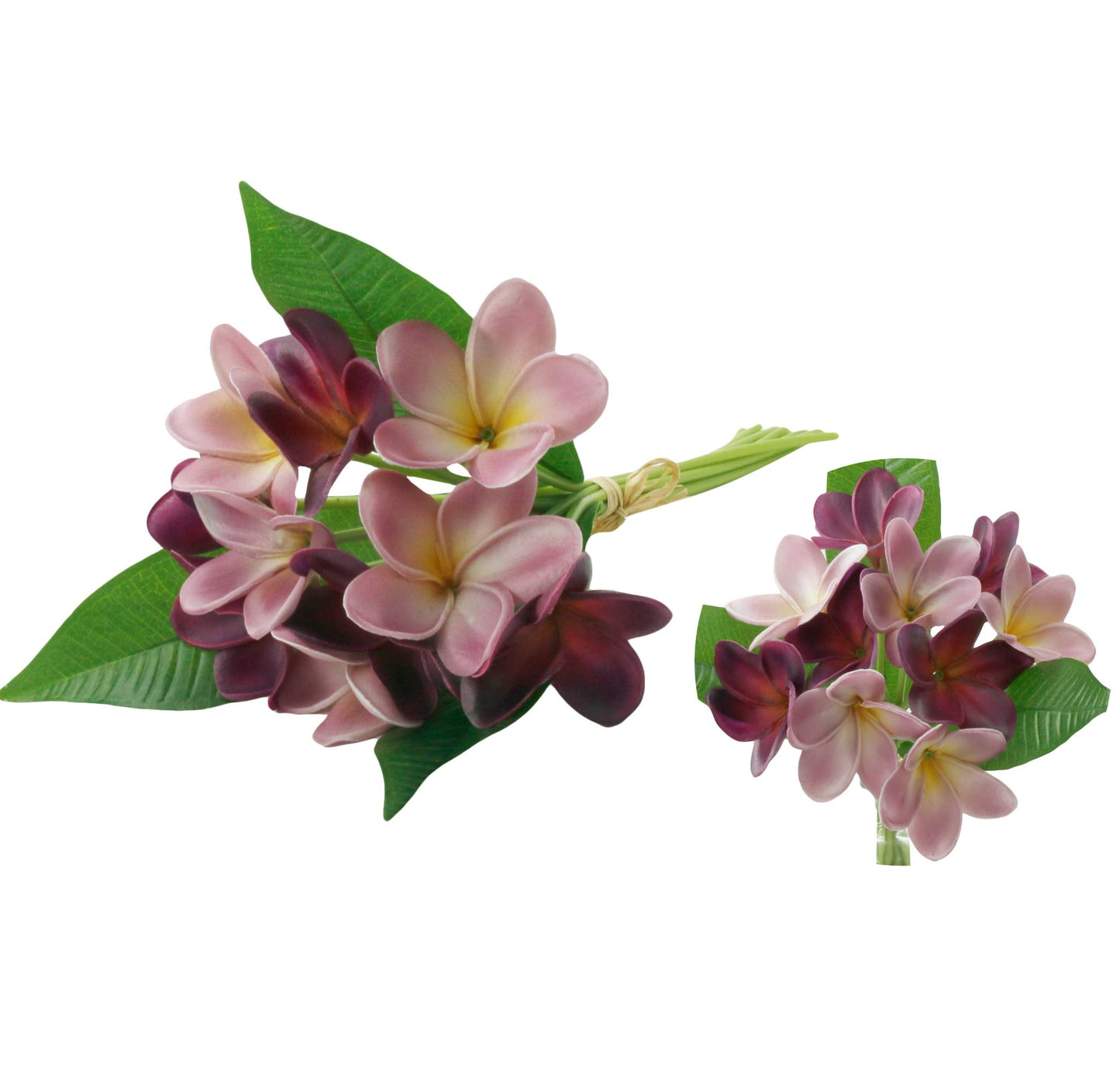 12' Real Touch Tropical Frangipani