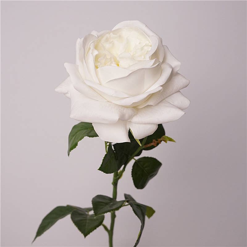 27" Lux Real Touch Juliet Rose