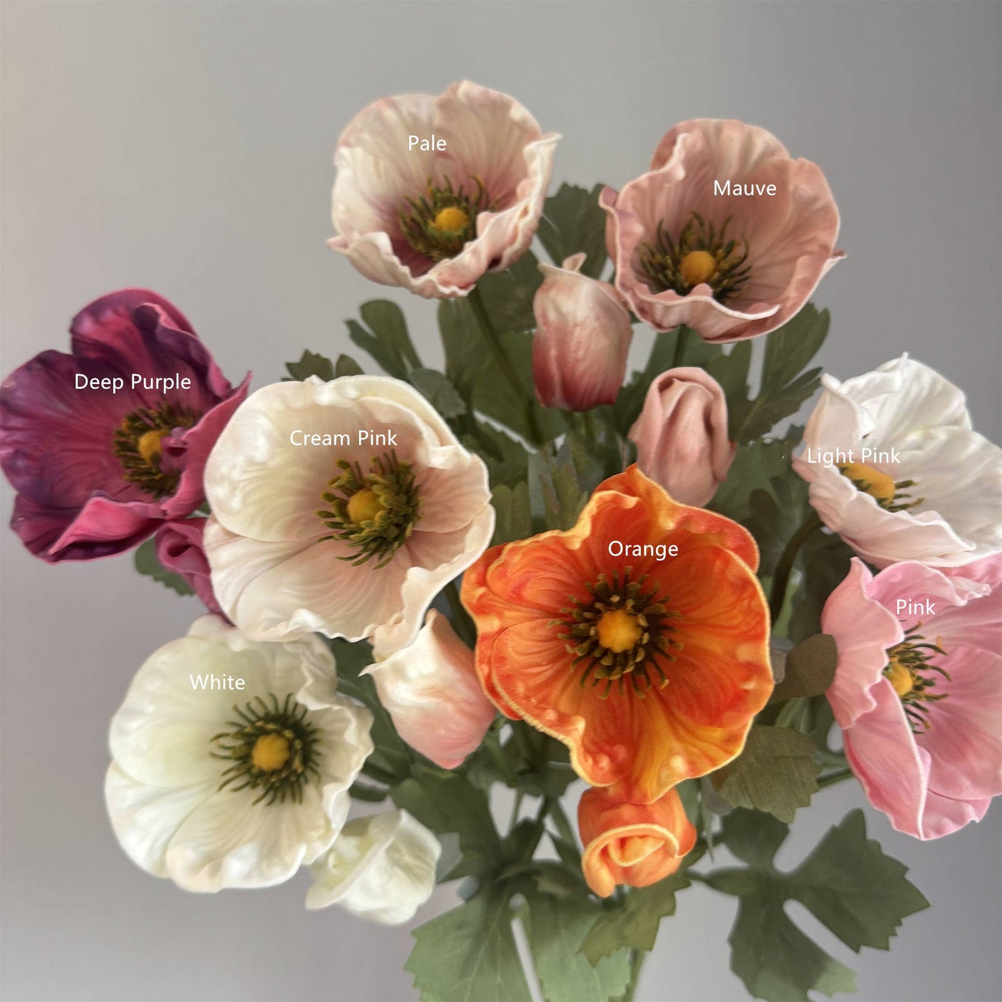 20'' Soft Touch Anemone