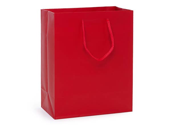 Matte Paper Cord Handle Gift Bags