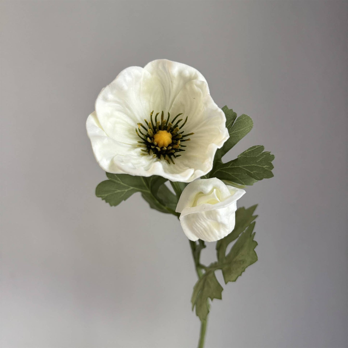 20'' Soft Touch Anemone