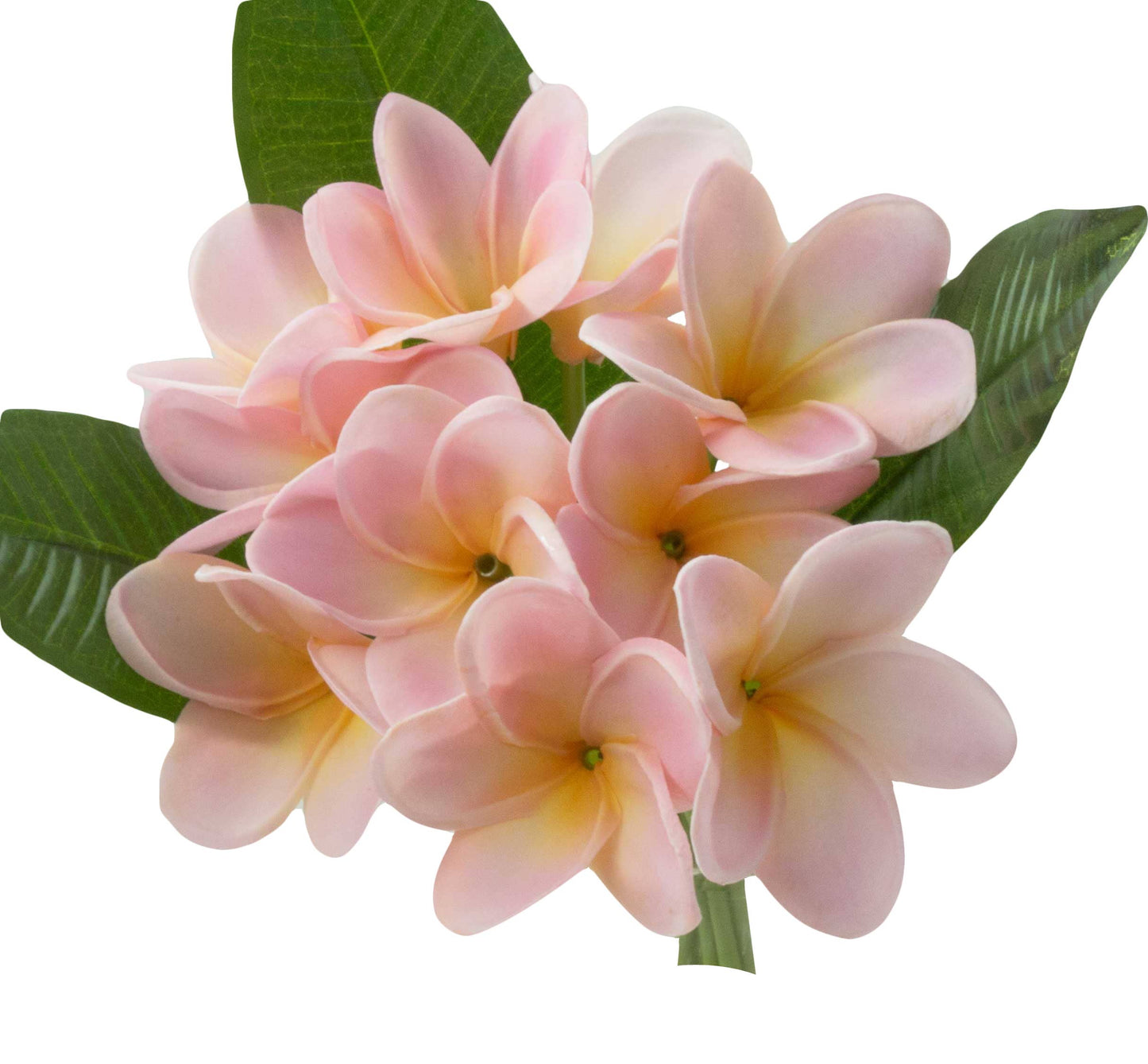 12' Real Touch Tropical Frangipani