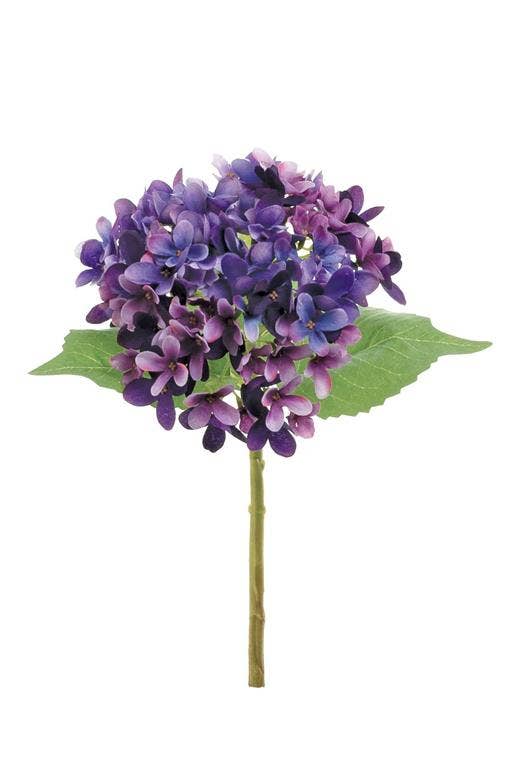 13” Fresh Cut Hydrangea, Purple