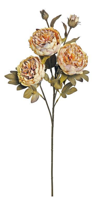 26" Harvest Peony - Coffee