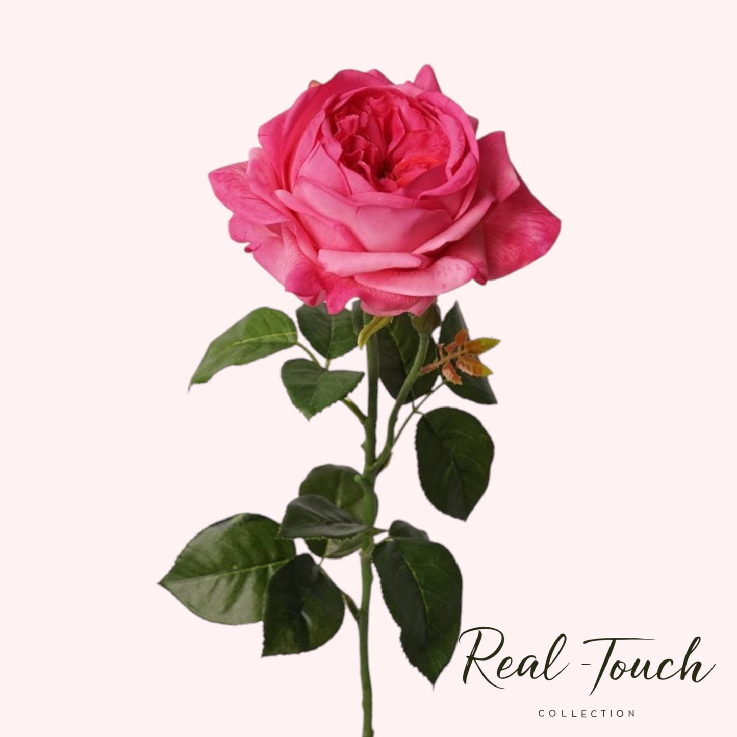 27" Lux Real Touch Juliet Rose