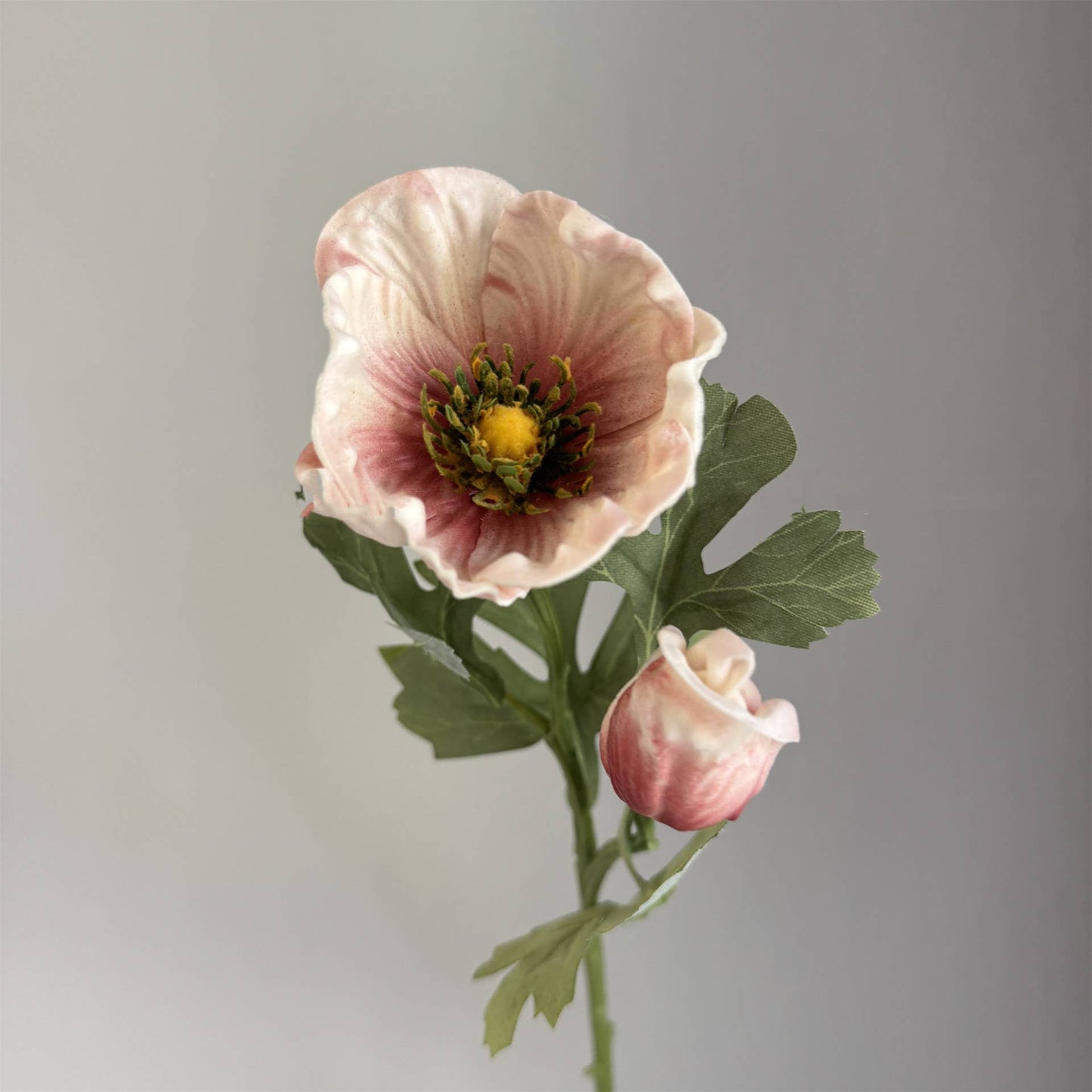 20'' Soft Touch Anemone