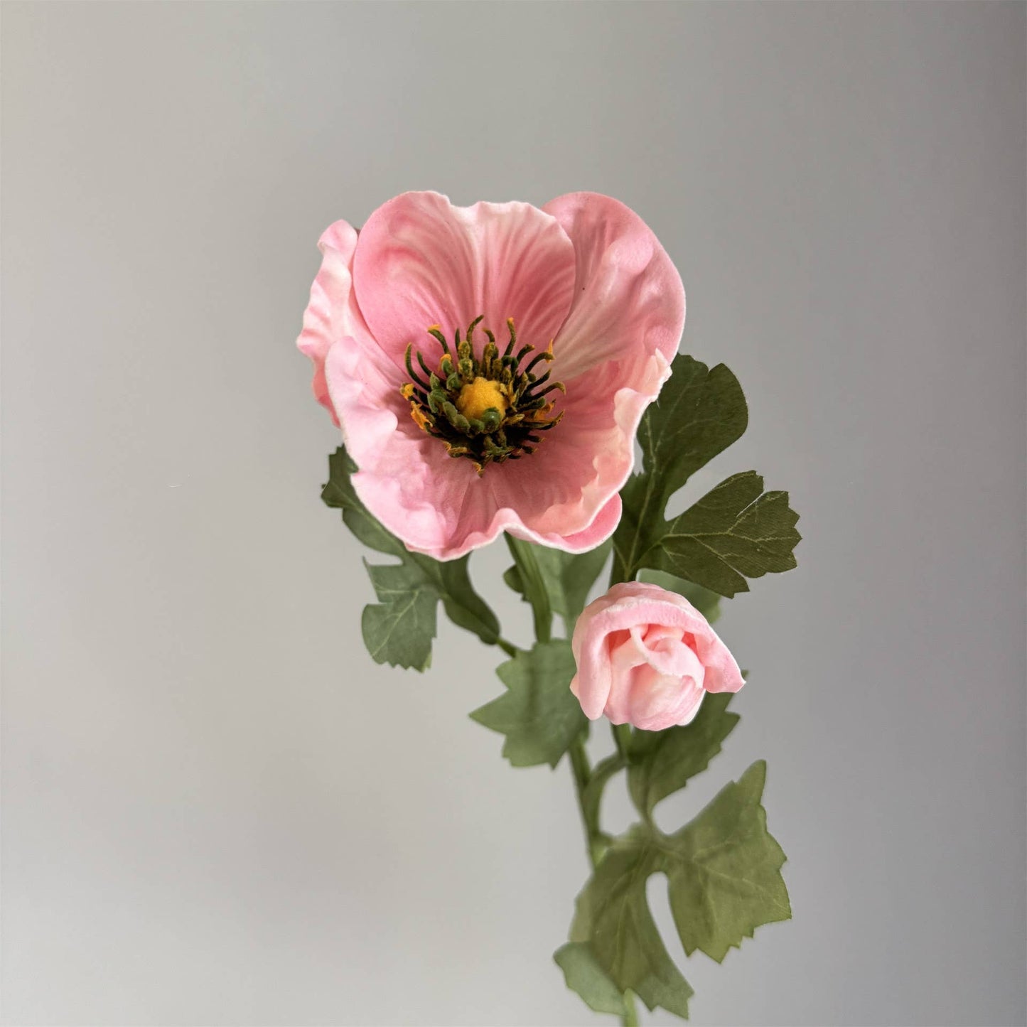 20'' Soft Touch Anemone