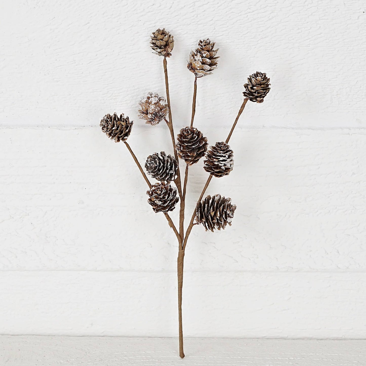 12" Pick-Snowy Birch Pine Cones