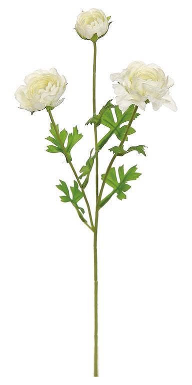 Ranunculus Spray X3, #5462-C