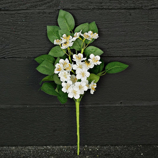 16 White Mini Wild Rose w/ foliage