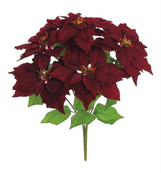 Velvet Poinsettia Bush, 5 Blooms, Burgundy