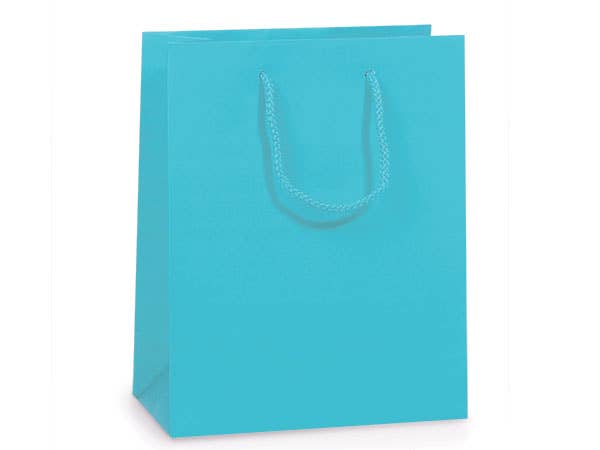 Matte Paper Cord Handle Gift Bags