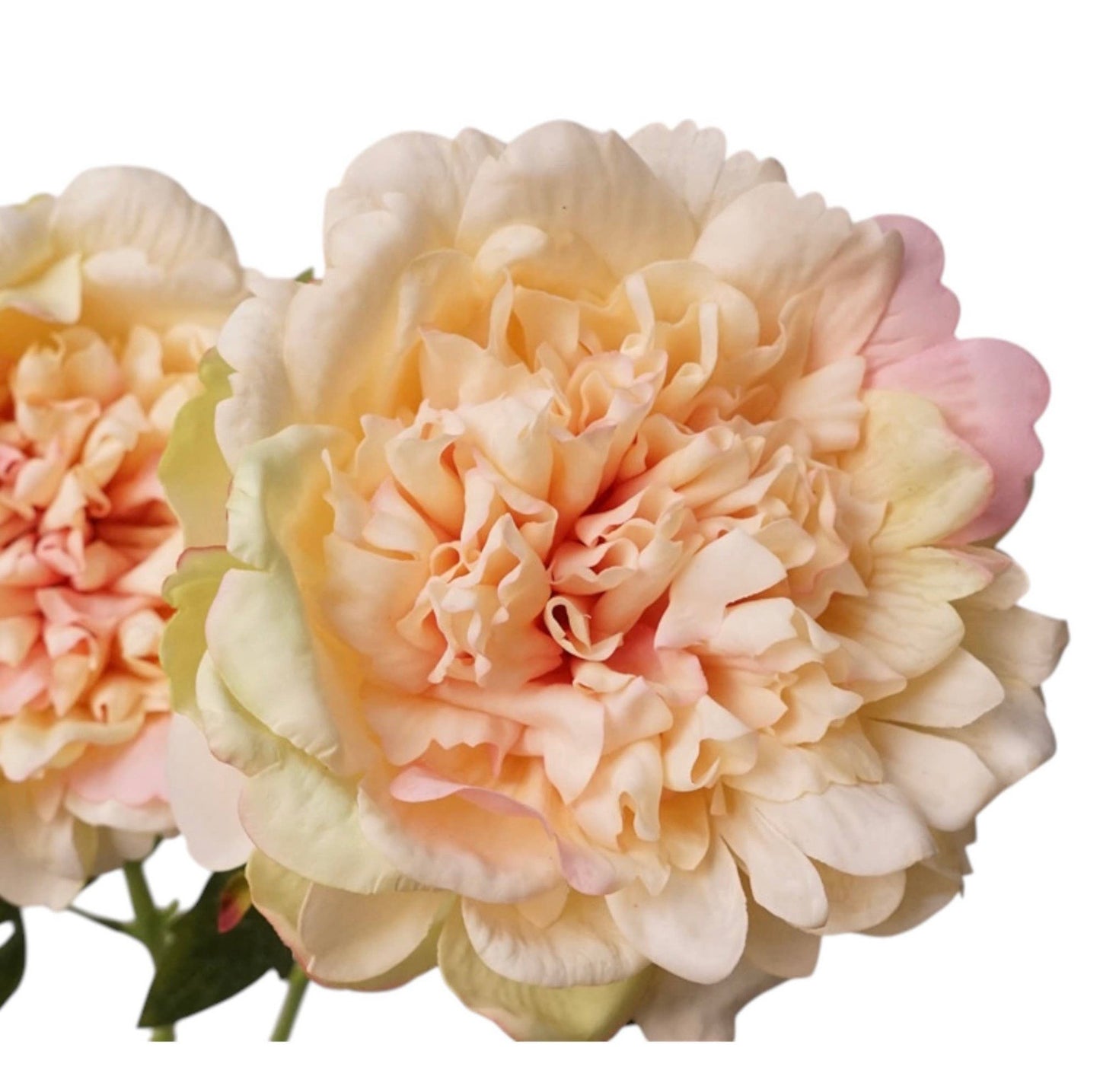 25.5" Real Touch Peony Stem