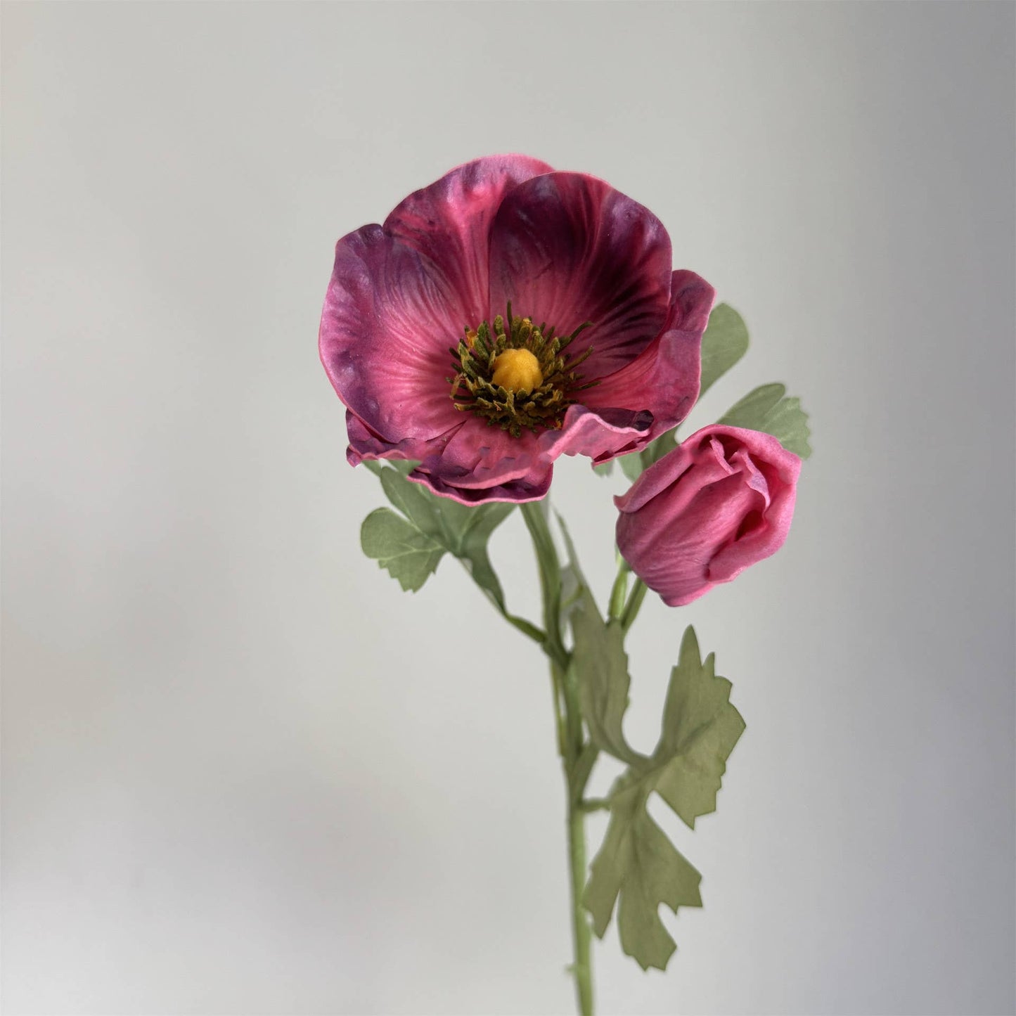 20'' Soft Touch Anemone