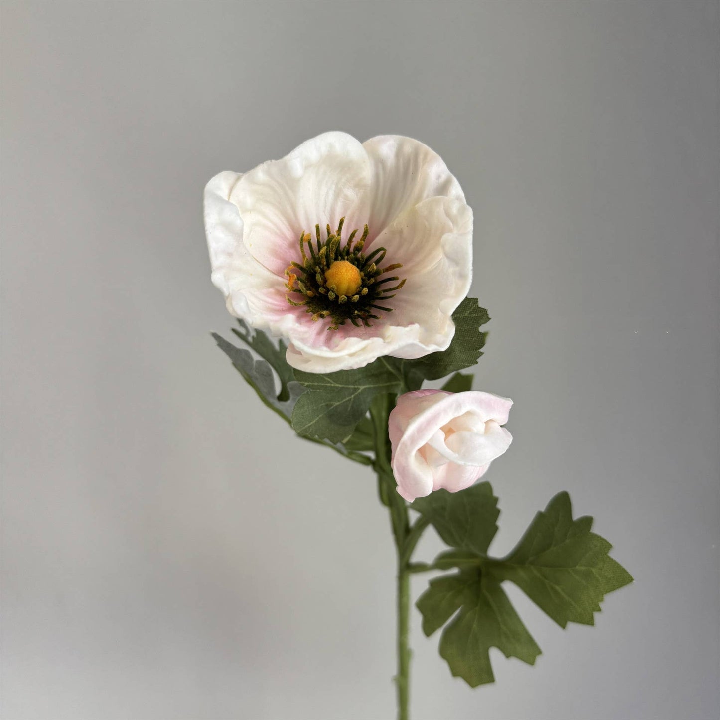 20'' Soft Touch Anemone