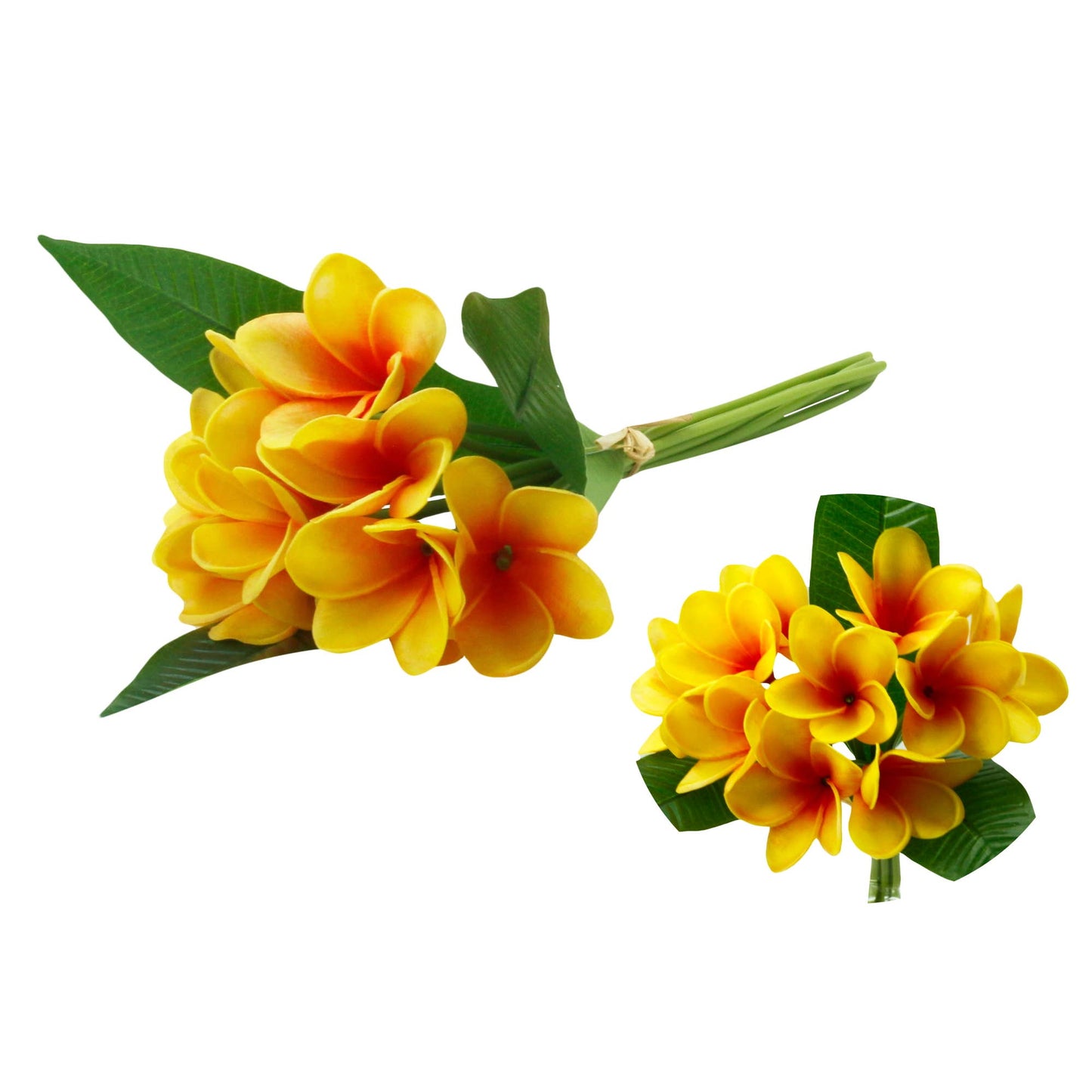 12' Real Touch Tropical Frangipani