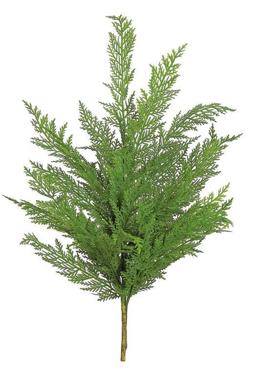 Cedar Bush, 24"