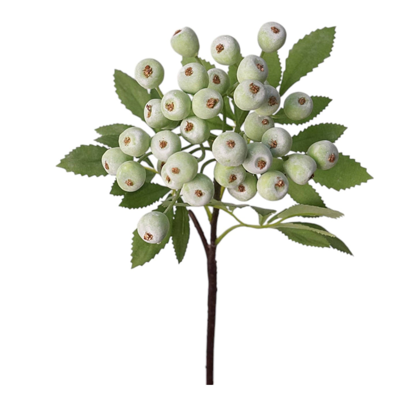 14" Premium Berry Pick