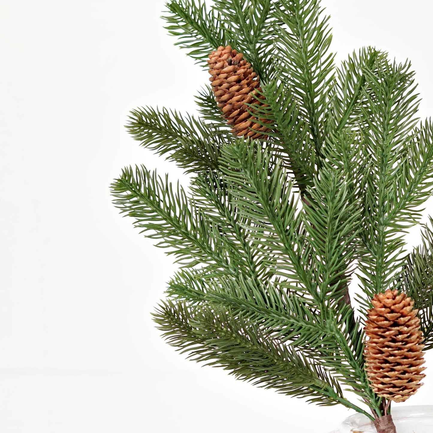 24in Evergreen Spruce w/ Pinecones