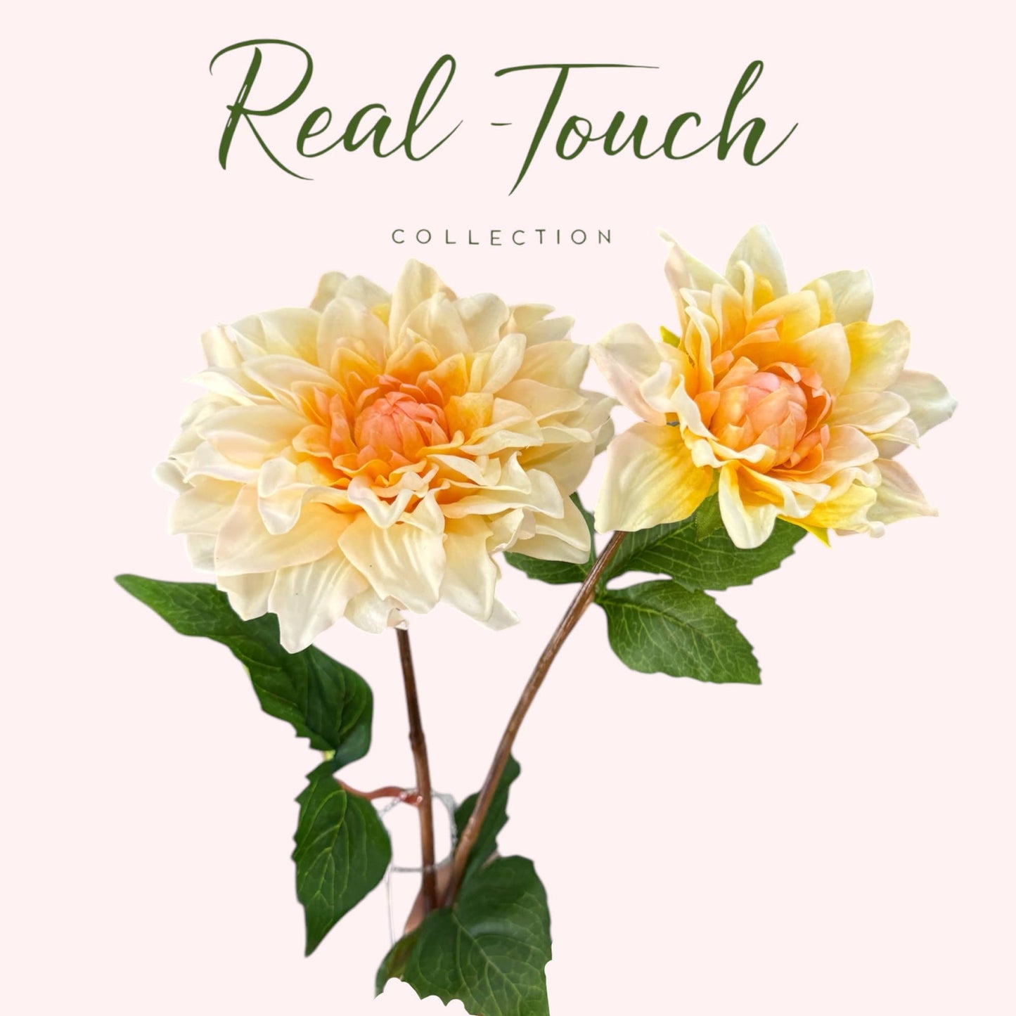 24" Real Touch Dahlia