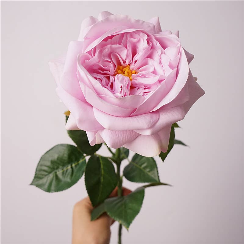 27" Lux Real Touch Juliet Rose
