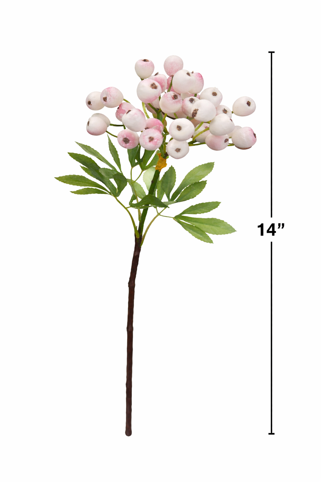 14" Premium Berry Pick