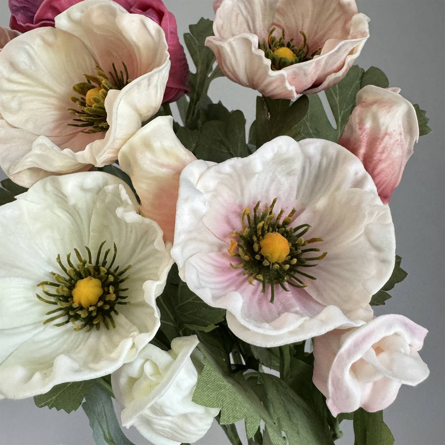 20'' Soft Touch Anemone