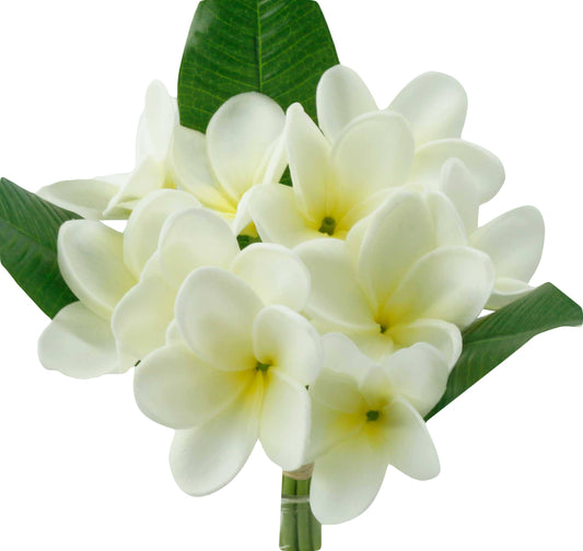 12' Real Touch Tropical Frangipani