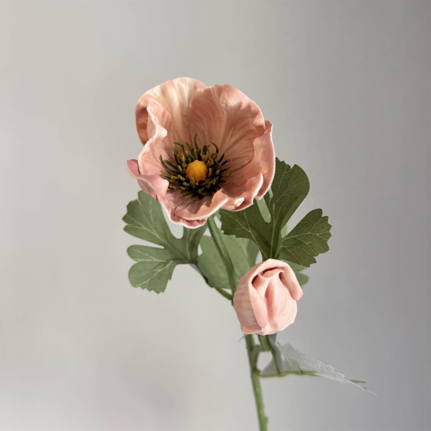 20'' Soft Touch Anemone