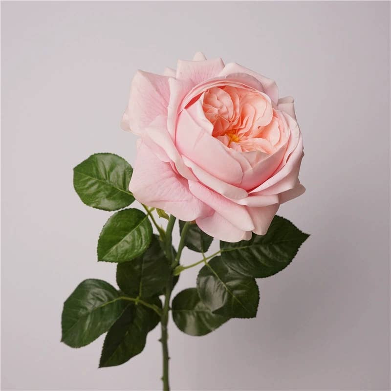 27" Lux Real Touch Juliet Rose