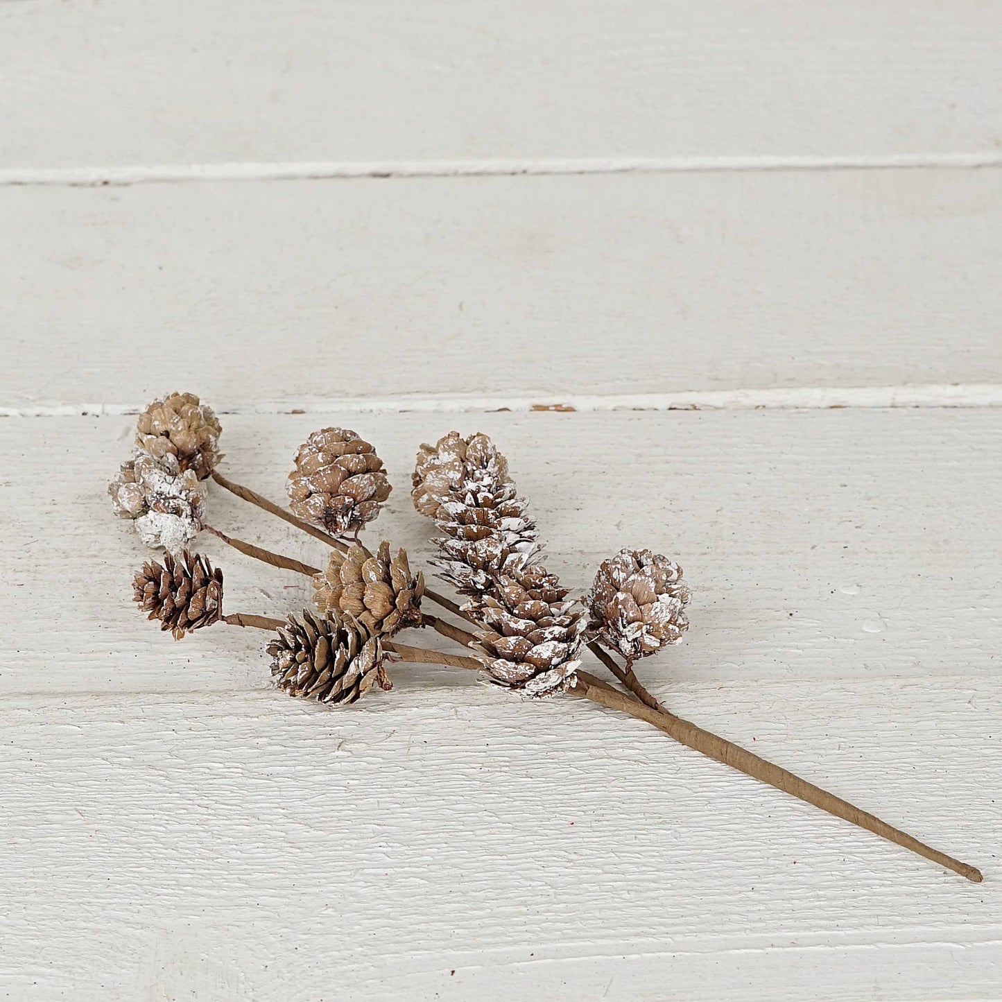 12" Pick-Snowy Birch Pine Cones